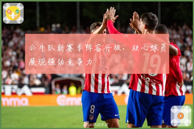 公牛队新赛季阵容升级，核心球员展现强劲竞争力