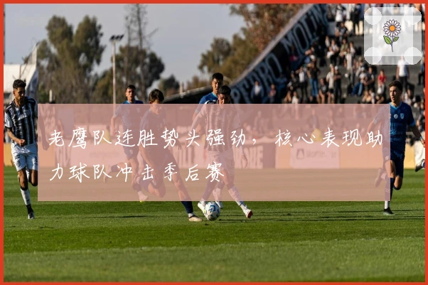 老鹰队连胜势头强劲，核心表现助力球队冲击季后赛