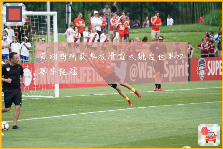 苏翊鸣斩获单板滑雪大跳台世界杯赛季桂冠