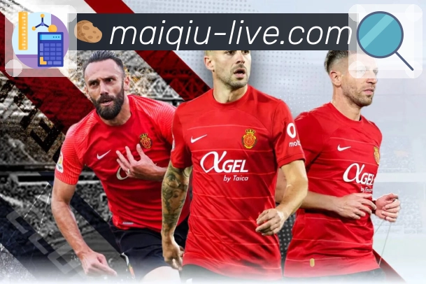 买球站· 打开就是现场。 banner2